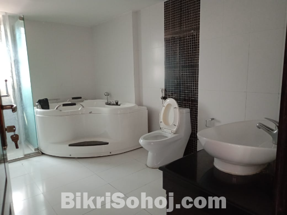 Apartment in Baridhara Diplomatic Zone